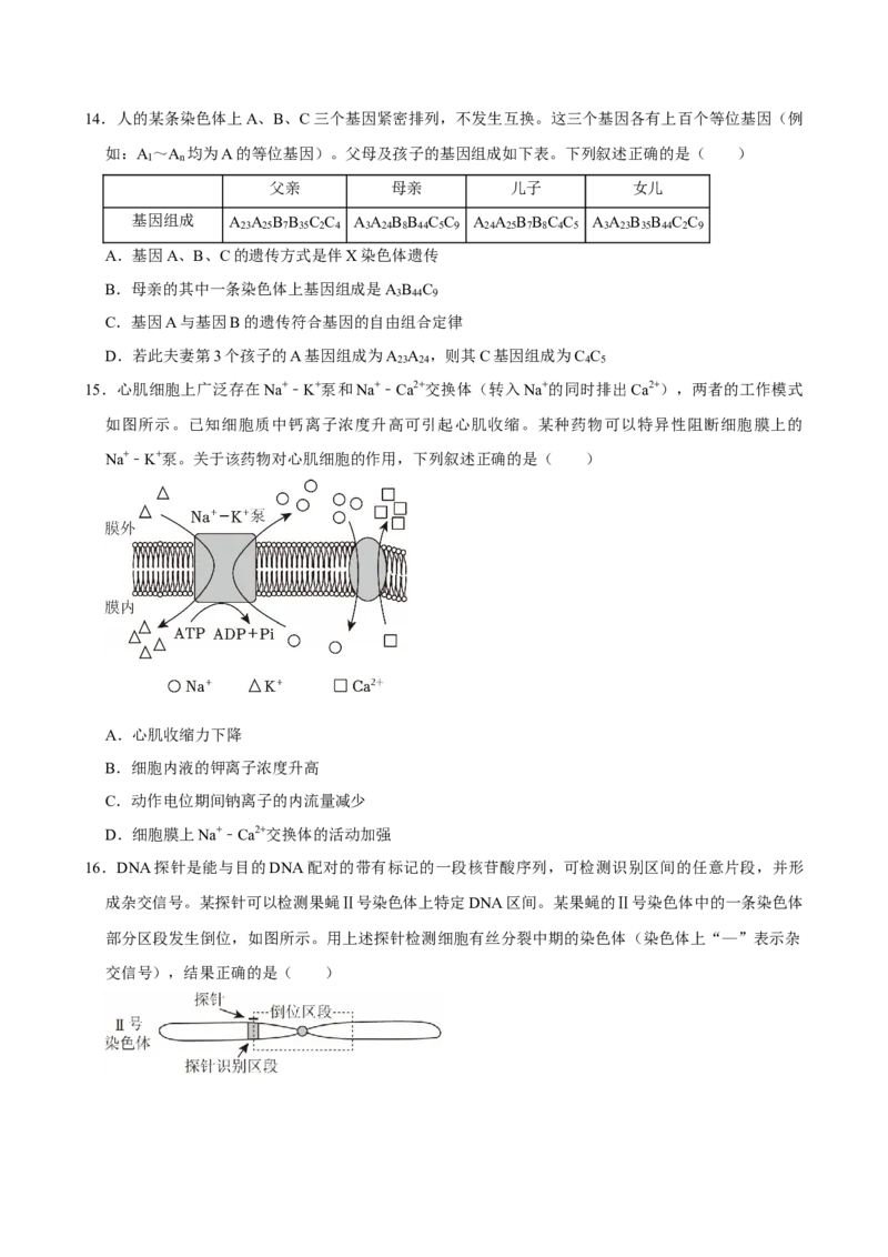 2023年高考生物真题（湖北自主命题）（原卷版）_全国卷+地方卷_6.生物_1.生物高考真题试卷_2023年高考-生物_2023年湖北自主命题