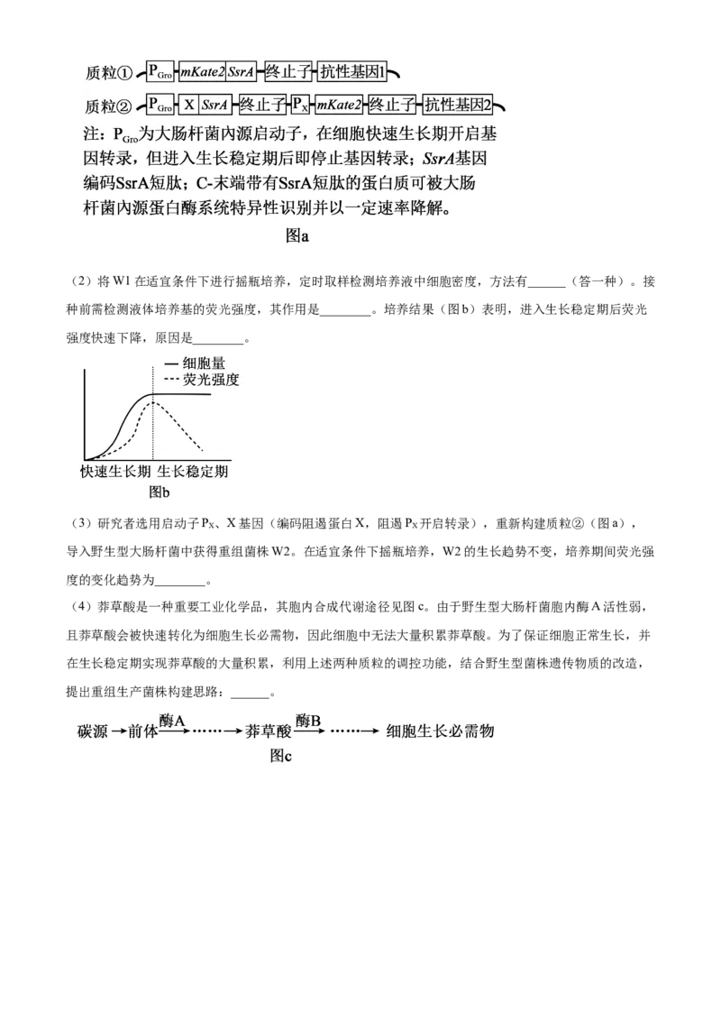 2025年高考生物真题（广东自主命题）（原卷版）_全国卷+地方卷_6.生物_1.生物高考真题试卷_2025年高考-生物_2025年广东自主命题
