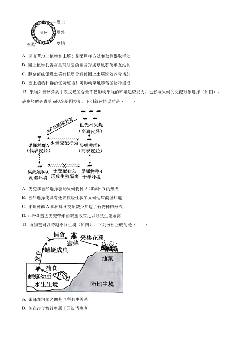 2025年高考生物真题（广东自主命题）（原卷版）_全国卷+地方卷_6.生物_1.生物高考真题试卷_2025年高考-生物_2025年广东自主命题