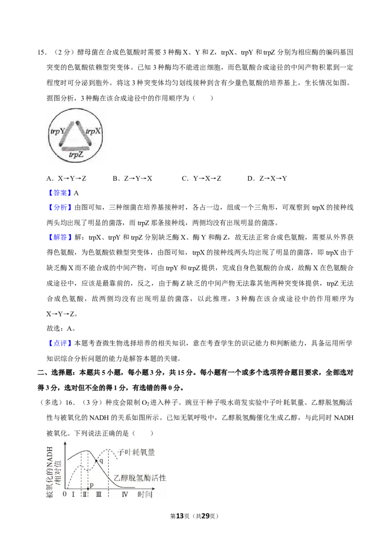 2024年高考生物真题（山东自主命题）（解析版）_全国卷+地方卷_6.生物_1.生物高考真题试卷_2024年高考-生物_2024年山东自主命题-生物