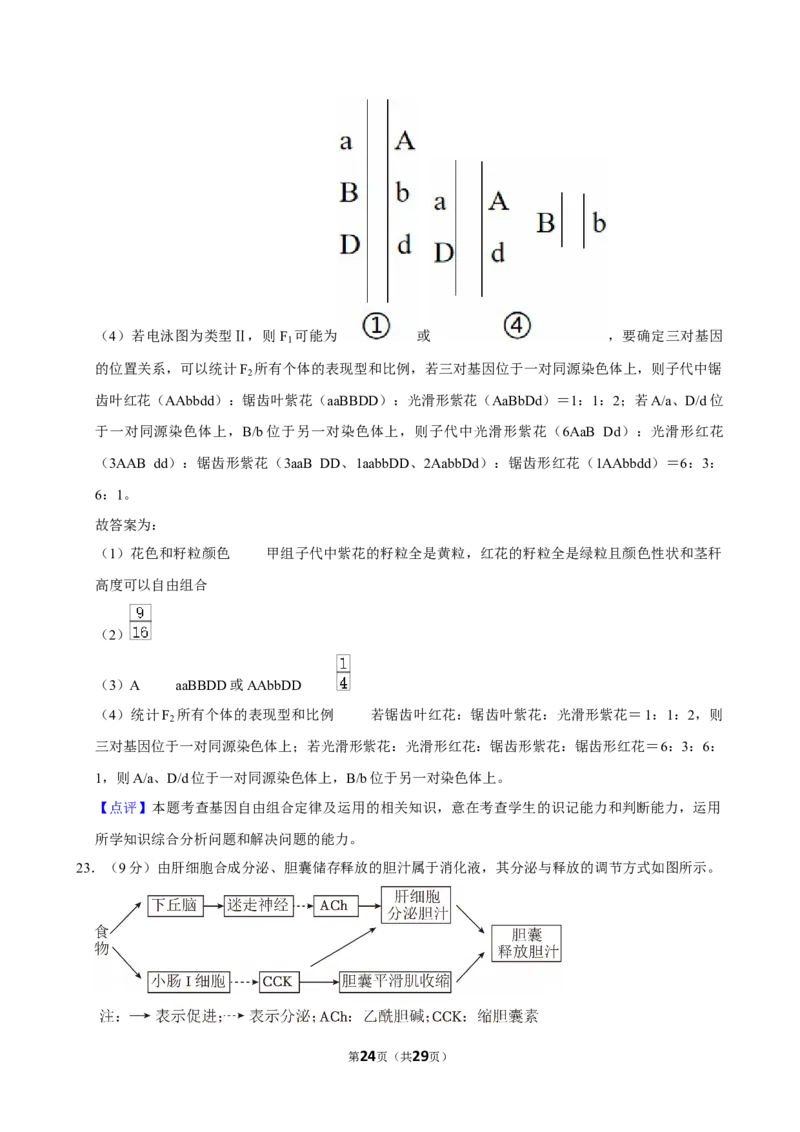 2024年高考生物真题（山东自主命题）（解析版）_全国卷+地方卷_6.生物_1.生物高考真题试卷_2024年高考-生物_2024年山东自主命题-生物