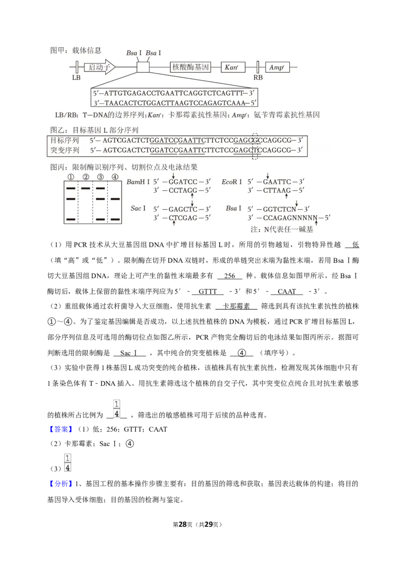 2024年高考生物真题（山东自主命题）（解析版）_全国卷+地方卷_6.生物_1.生物高考真题试卷_2024年高考-生物_2024年山东自主命题-生物