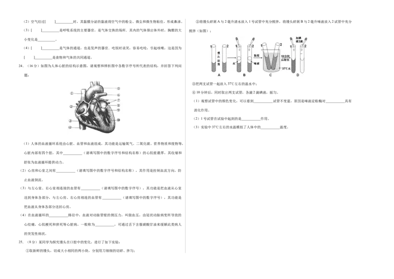 七年级生物期中模拟卷（考试版A3）测试范围：第1~4章（人教版）(1)_北京初中期末题_C605-京七八九_B京生物七八九_北京7下生物_2022-2024_北京生物7下期中