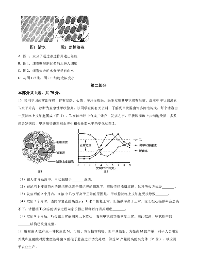 2025年高考生物真题（北京自主命题）（原卷版）_全国卷+地方卷_6.生物_1.生物高考真题试卷_2025年高考-生物_2025年北京自主命题