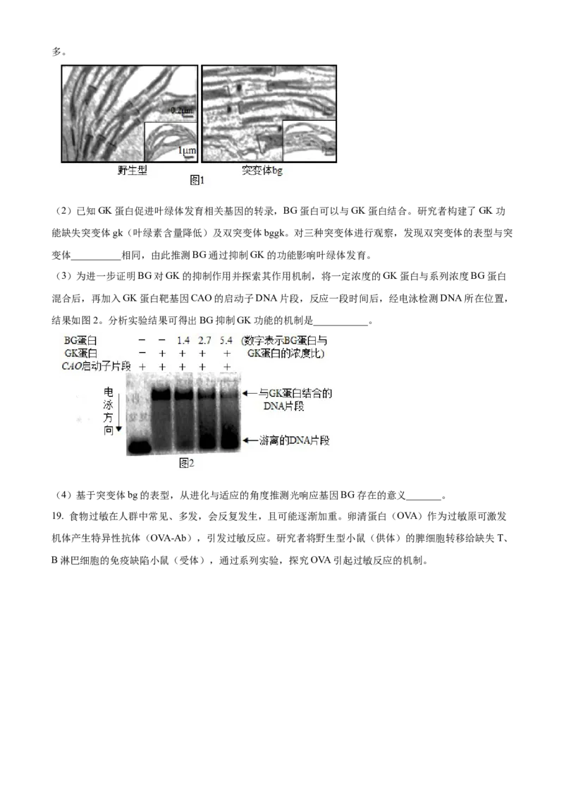 2025年高考生物真题（北京自主命题）（原卷版）_全国卷+地方卷_6.生物_1.生物高考真题试卷_2025年高考-生物_2025年北京自主命题
