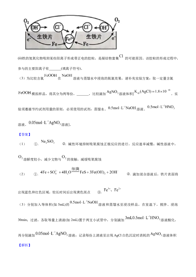 2025年高考化学真题（江苏自主命题）（解析版）_全国卷+地方卷_5.化学_1.化学高考真题试卷_2025年高考-化学_2025年江苏自主命题