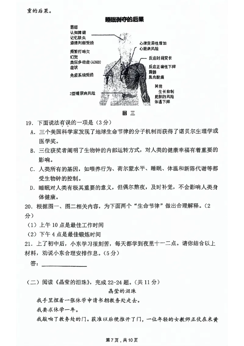 2024北京人大附中初一（下）期中语文试卷(1)_北京初中期末题_C605-京七八九_B语文七八九_北京语文七下_2022-2024_北京语文7下期中