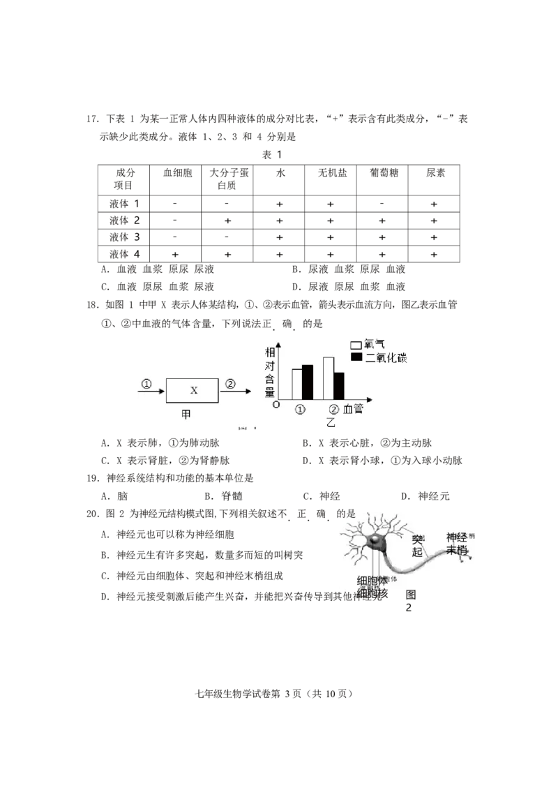 北京市房山区2019-2020学年七年级下学期期末考试生物试题(1)_北京初中期末题_C605-京七八九_B京生物七八九_北京7下生物_2019-2020_北京市房山区2019-2020学年七年级下学期期末考试生物试题