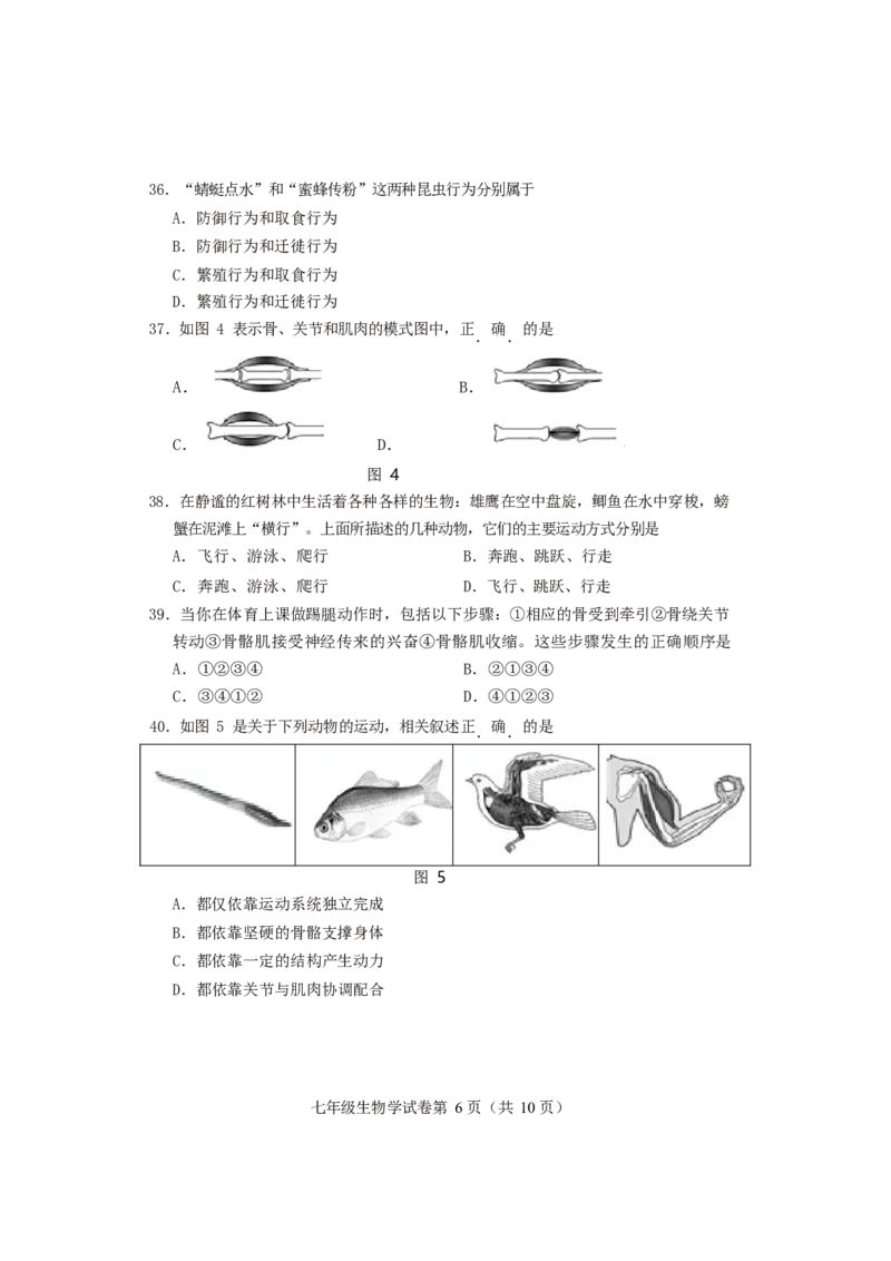 北京市房山区2019-2020学年七年级下学期期末考试生物试题(1)_北京初中期末题_C605-京七八九_B京生物七八九_北京7下生物_2019-2020_北京市房山区2019-2020学年七年级下学期期末考试生物试题