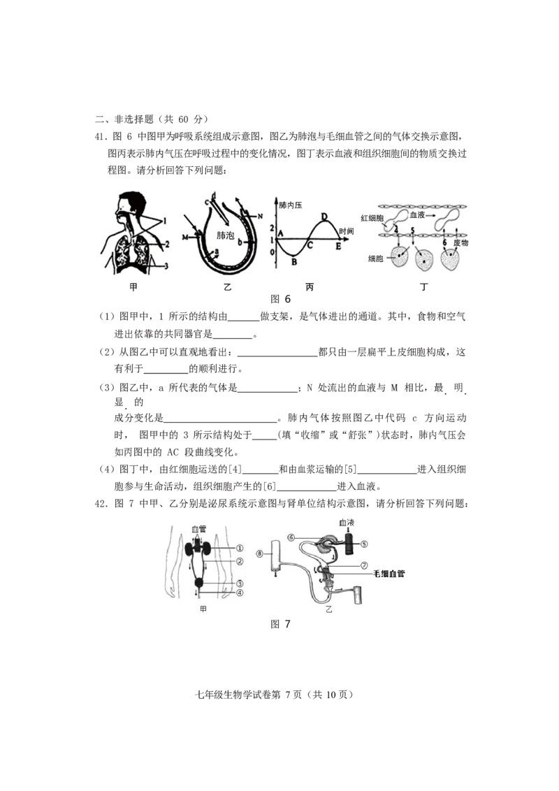 北京市房山区2019-2020学年七年级下学期期末考试生物试题(1)_北京初中期末题_C605-京七八九_B京生物七八九_北京7下生物_2019-2020_北京市房山区2019-2020学年七年级下学期期末考试生物试题