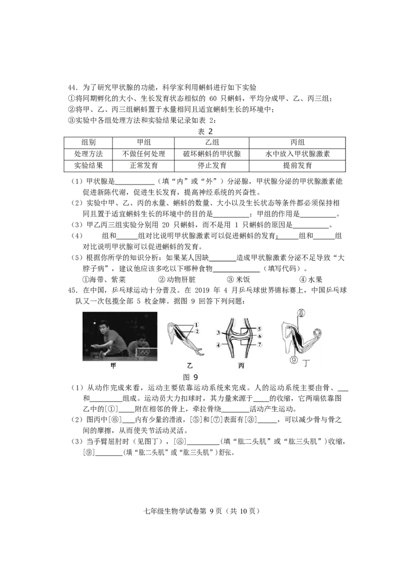 北京市房山区2019-2020学年七年级下学期期末考试生物试题(1)_北京初中期末题_C605-京七八九_B京生物七八九_北京7下生物_2019-2020_北京市房山区2019-2020学年七年级下学期期末考试生物试题