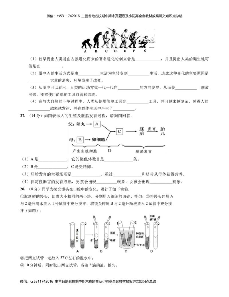 七年级生物第一次月考卷-北京（考试版A4）测试范围：人教版前2章(1)_北京初中期末题_C605-京七八九_B京生物七八九_北京7下生物_2022-2024_北京生物7下月考