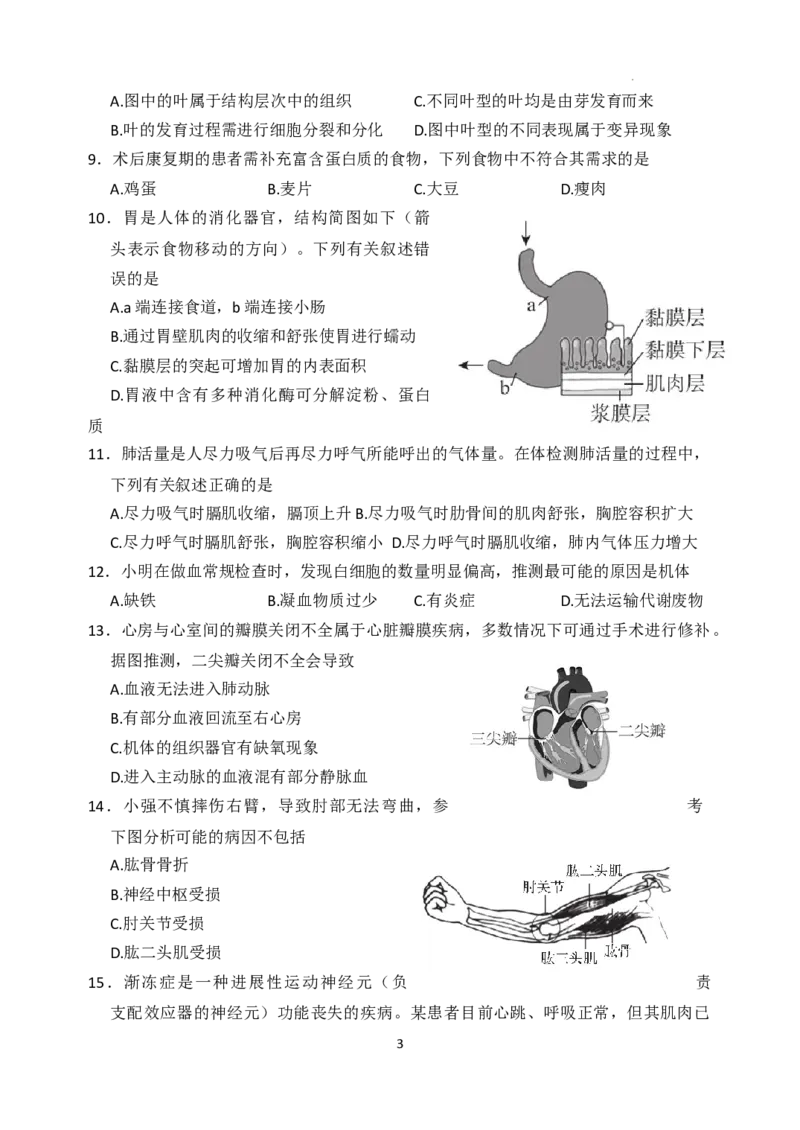 2023年北京市东城区中考模拟生物试卷(1)_北京初中期末题_C605-京七八九_B京生物七八九_北京八下生物