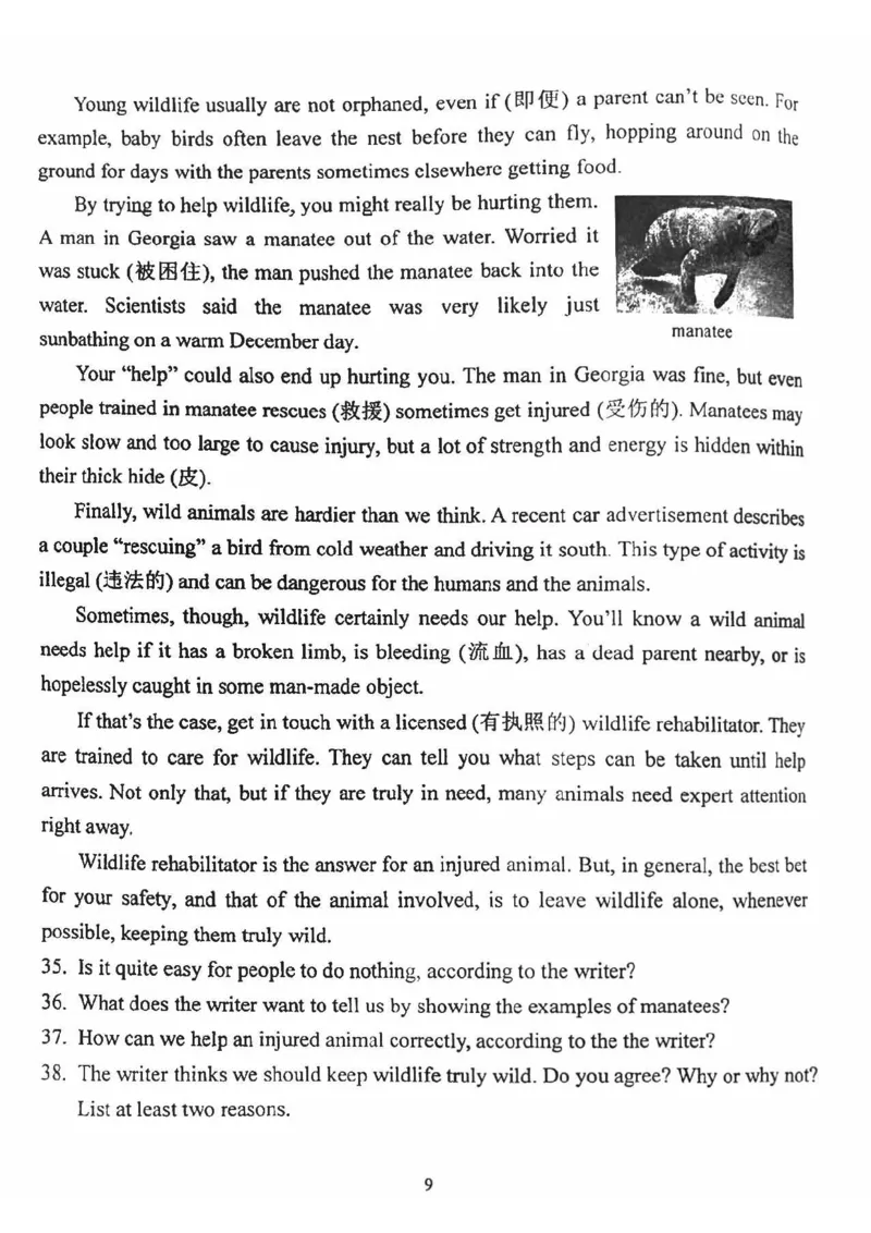 北京北师大实验中学2023-2024学年八年级（上学期）期中英语试卷(1)_北京初中期末题_C605-京七八九_B京英语七八九_北京8上英语_2023-2024_北京英语8上期中