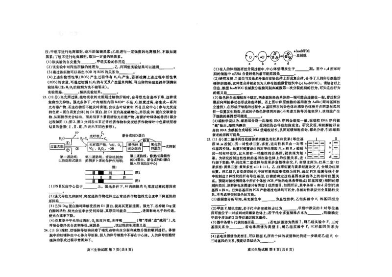 2025届山东省新高考联合质量测评高三上学期9月联考生物试题_A1502026各地模拟卷（超值！）_9月_2409062025届山东省新高考联合质量测评高三上学期9月联考