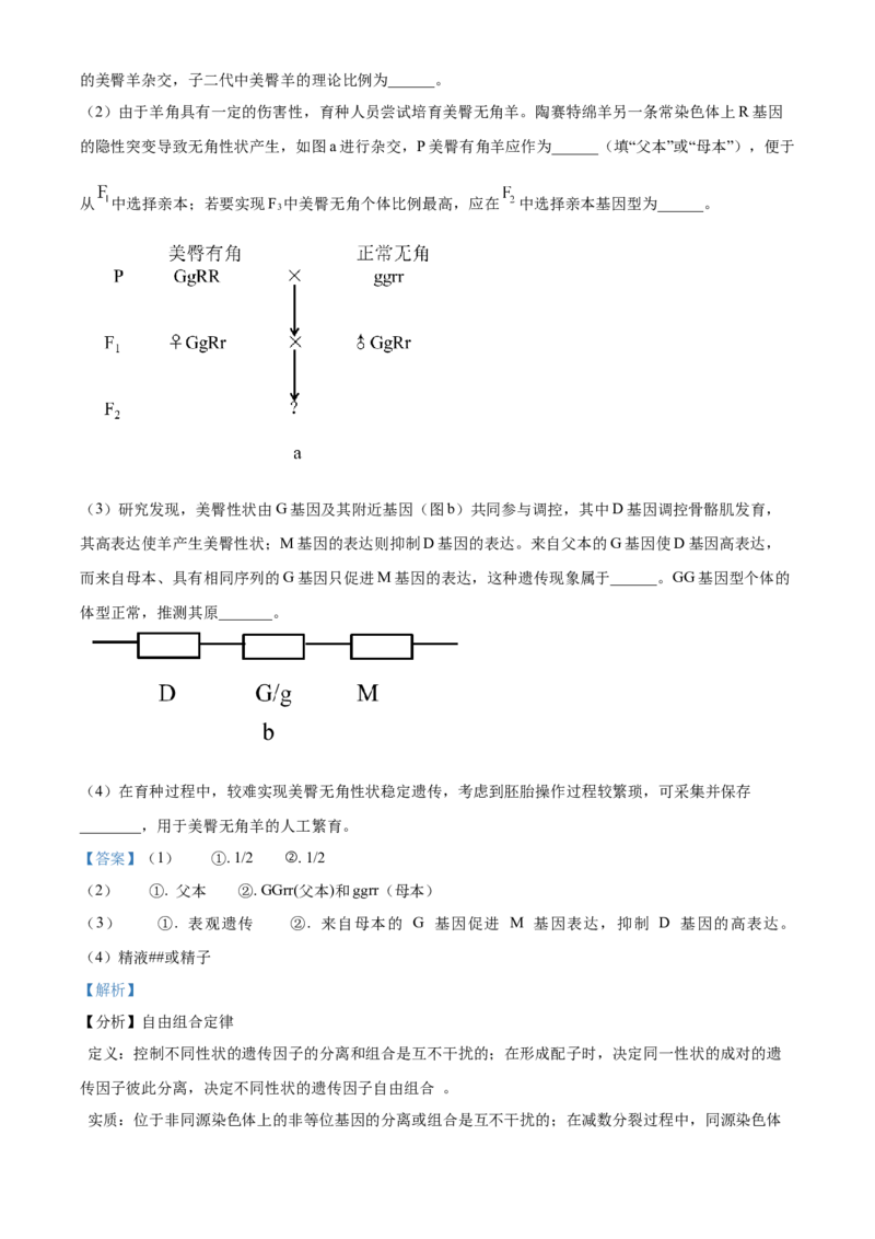 2025年高考生物真题（广东自主命题）（解析版）_全国卷+地方卷_6.生物_1.生物高考真题试卷_2025年高考-生物_2025年广东自主命题