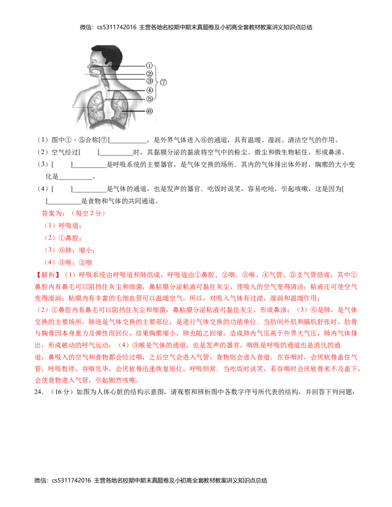 七年级生物期中模拟卷（全解全析）(1)_北京初中期末题_C605-京七八九_B京生物七八九_北京7下生物_2022-2024_北京生物7下期中