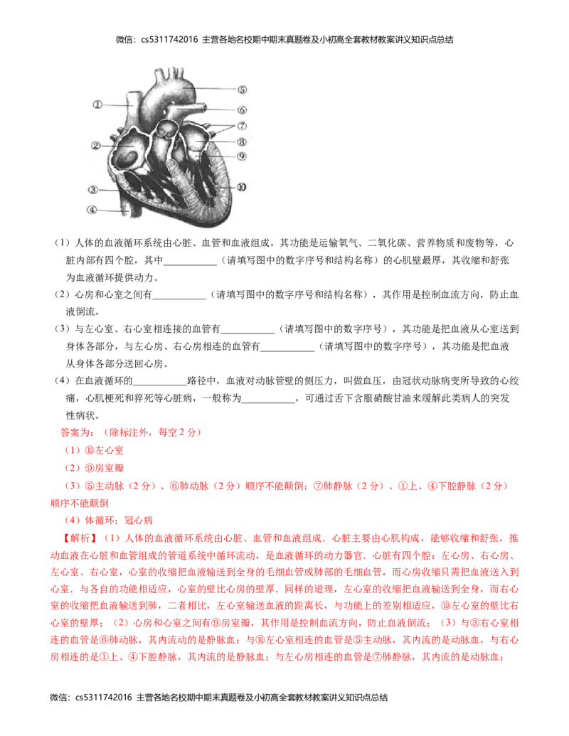 七年级生物期中模拟卷（全解全析）(1)_北京初中期末题_C605-京七八九_B京生物七八九_北京7下生物_2022-2024_北京生物7下期中