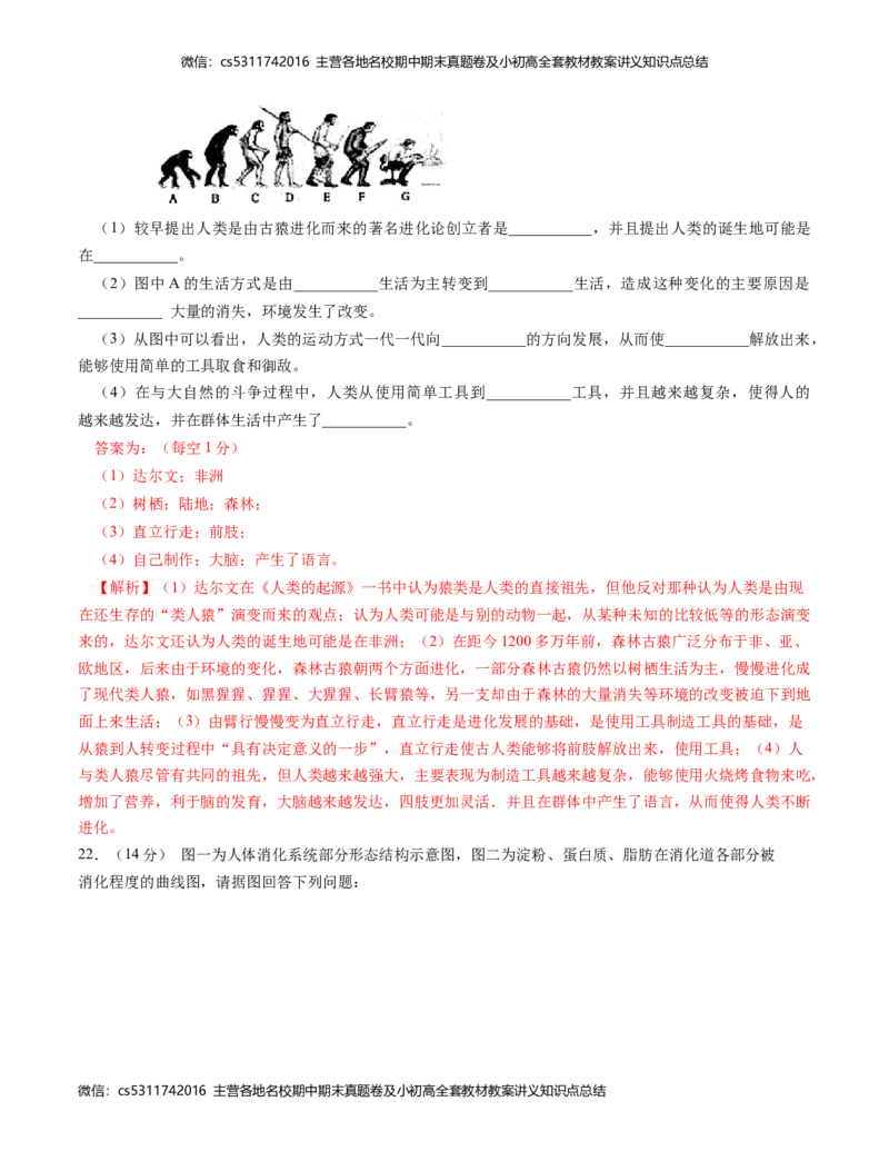 七年级生物期中模拟卷（全解全析）(1)_北京初中期末题_C605-京七八九_B京生物七八九_北京7下生物_2022-2024_北京生物7下期中