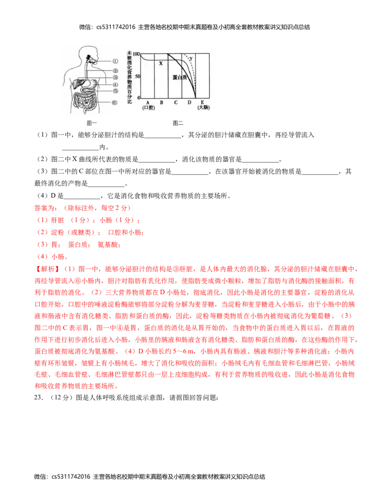 七年级生物期中模拟卷（全解全析）(1)_北京初中期末题_C605-京七八九_B京生物七八九_北京7下生物_2022-2024_北京生物7下期中