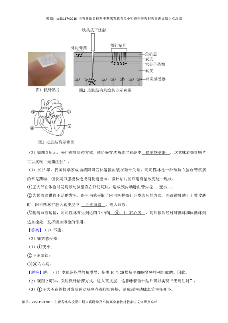 北京市朝阳区2023-2024学年七年级下学期期末考试生物试卷(1)_北京初中期末题_C605-京七八九_B京生物七八九_北京7下生物_2022-2024_北京生物7下期末