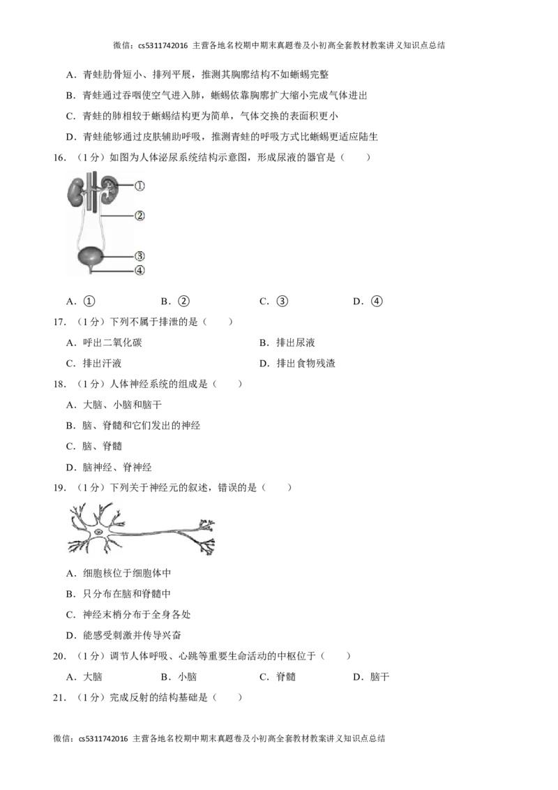 北京市朝阳区2023-2024学年七年级下学期期末考试生物试卷(1)_北京初中期末题_C605-京七八九_B京生物七八九_北京7下生物_2022-2024_北京生物7下期末