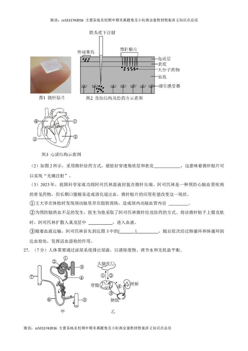 北京市朝阳区2023-2024学年七年级下学期期末考试生物试卷(1)_北京初中期末题_C605-京七八九_B京生物七八九_北京7下生物_2022-2024_北京生物7下期末