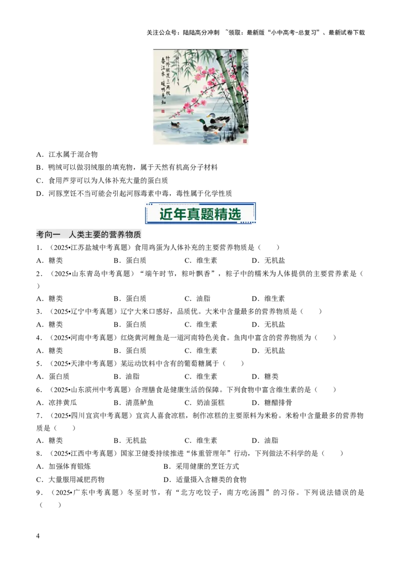 专题13化学与生活（原卷版）_02中考总复习（2026版更新中）_05-化学-中考总复习_2026年中考复习（更新中）_备战2026年中考化学真题题源解密