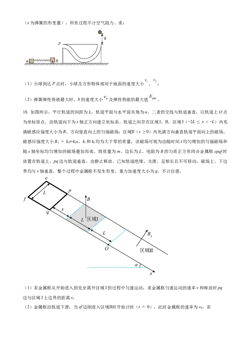 2025年高考物理真题（山东自主命题）（原卷版）_全国卷+地方卷_4.物理_1.物理高考真题试卷_2025年高考-物理_2025年山东自主命题