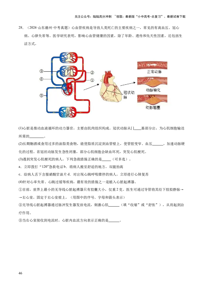 专题14健康地生活（全国通用）（解析版）_02中考总复习（2026版更新中）_08-生物-中考总复习_2026年中考复习（更新中）_好题汇编三年（2023-2025）中考生物真题分类汇编（全国通用）