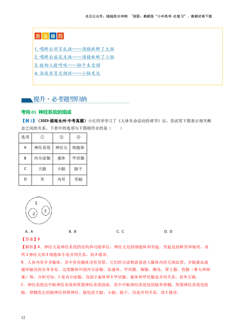 专题14人体生命活动的调节（讲义）（解析版）_02中考总复习（2026版更新中）_08-生物-中考总复习_2024年中考复习资料_一轮复习_❤2024年中考生物一轮复习讲练测（全国通用）_讲义