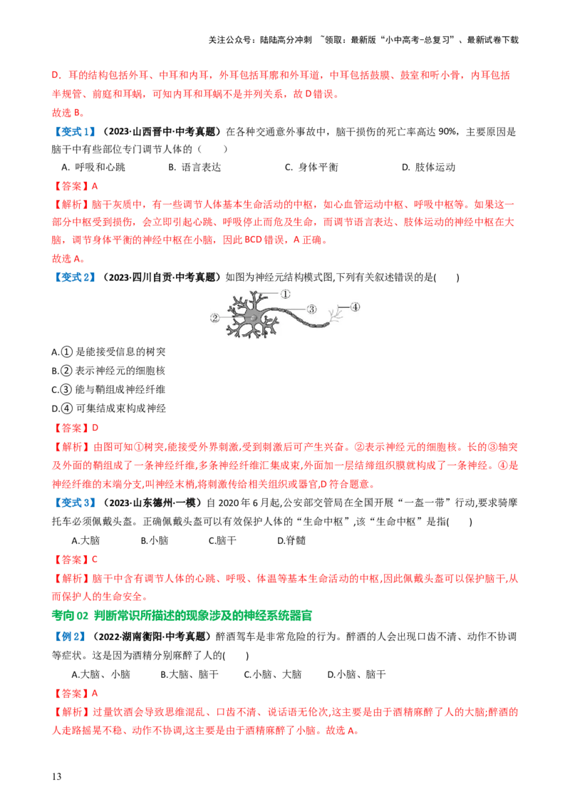 专题14人体生命活动的调节（讲义）（解析版）_02中考总复习（2026版更新中）_08-生物-中考总复习_2024年中考复习资料_一轮复习_❤2024年中考生物一轮复习讲练测（全国通用）_讲义