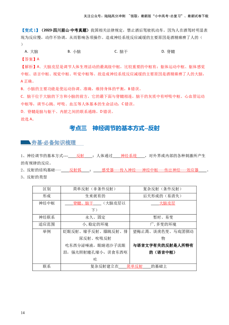 专题14人体生命活动的调节（讲义）（解析版）_02中考总复习（2026版更新中）_08-生物-中考总复习_2024年中考复习资料_一轮复习_❤2024年中考生物一轮复习讲练测（全国通用）_讲义