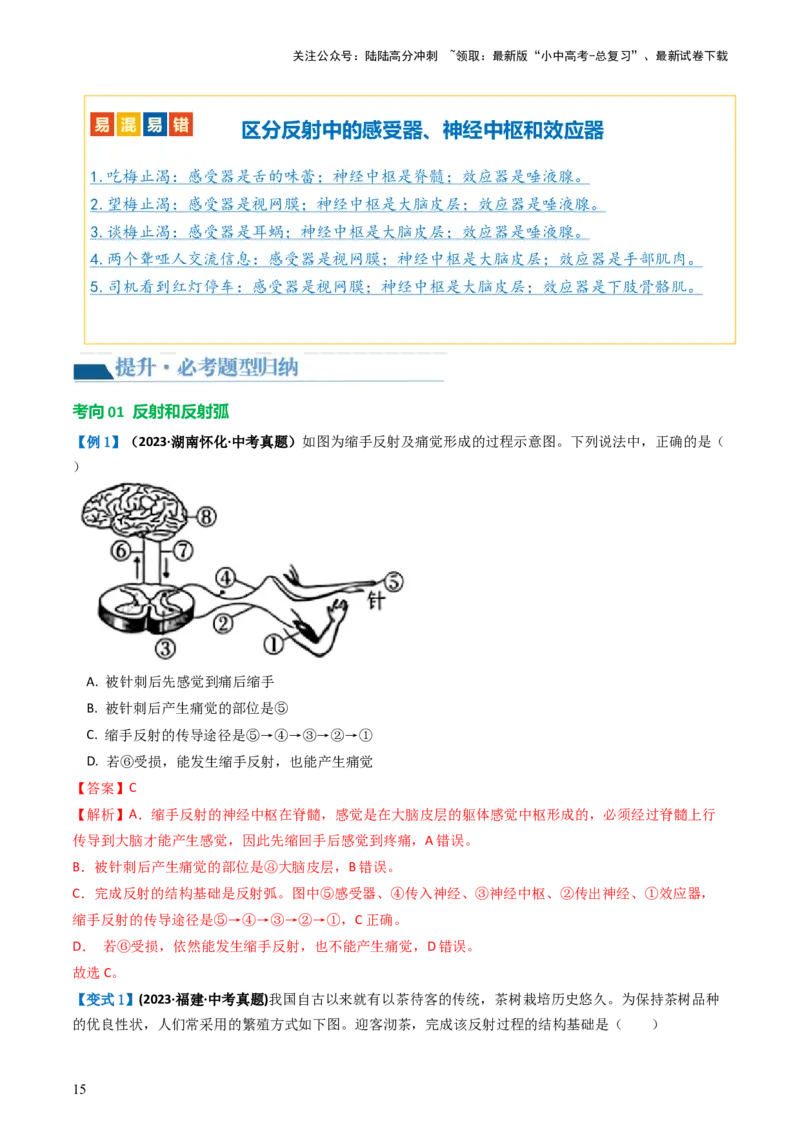 专题14人体生命活动的调节（讲义）（解析版）_02中考总复习（2026版更新中）_08-生物-中考总复习_2024年中考复习资料_一轮复习_❤2024年中考生物一轮复习讲练测（全国通用）_讲义