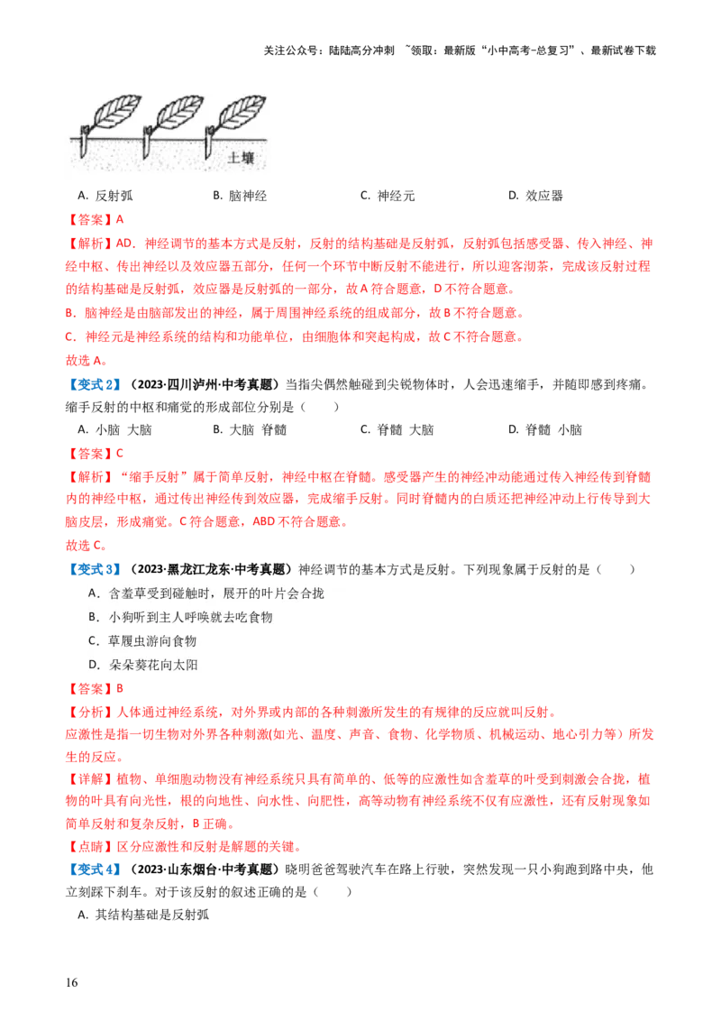 专题14人体生命活动的调节（讲义）（解析版）_02中考总复习（2026版更新中）_08-生物-中考总复习_2024年中考复习资料_一轮复习_❤2024年中考生物一轮复习讲练测（全国通用）_讲义
