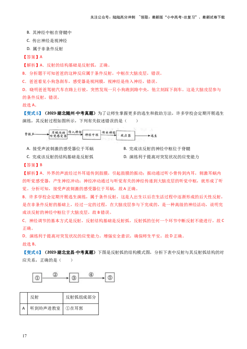 专题14人体生命活动的调节（讲义）（解析版）_02中考总复习（2026版更新中）_08-生物-中考总复习_2024年中考复习资料_一轮复习_❤2024年中考生物一轮复习讲练测（全国通用）_讲义