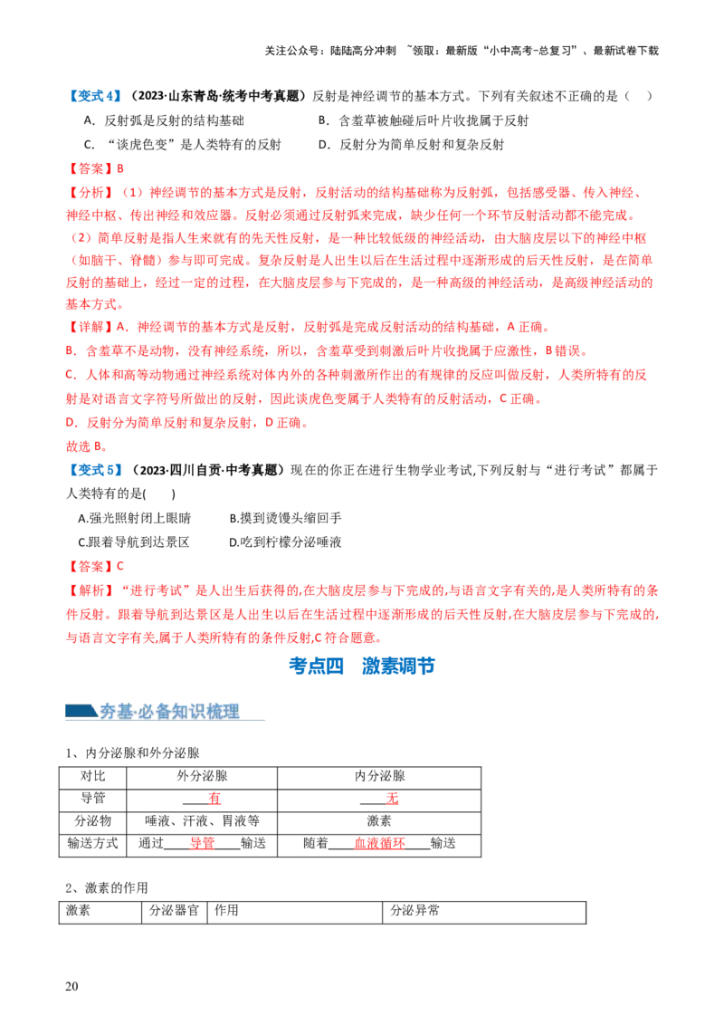 专题14人体生命活动的调节（讲义）（解析版）_02中考总复习（2026版更新中）_08-生物-中考总复习_2024年中考复习资料_一轮复习_❤2024年中考生物一轮复习讲练测（全国通用）_讲义