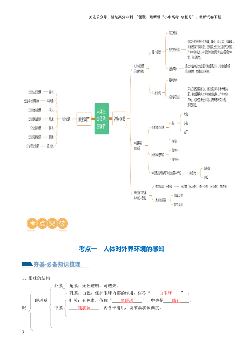 专题14人体生命活动的调节（讲义）（解析版）_02中考总复习（2026版更新中）_08-生物-中考总复习_2024年中考复习资料_一轮复习_❤2024年中考生物一轮复习讲练测（全国通用）_讲义