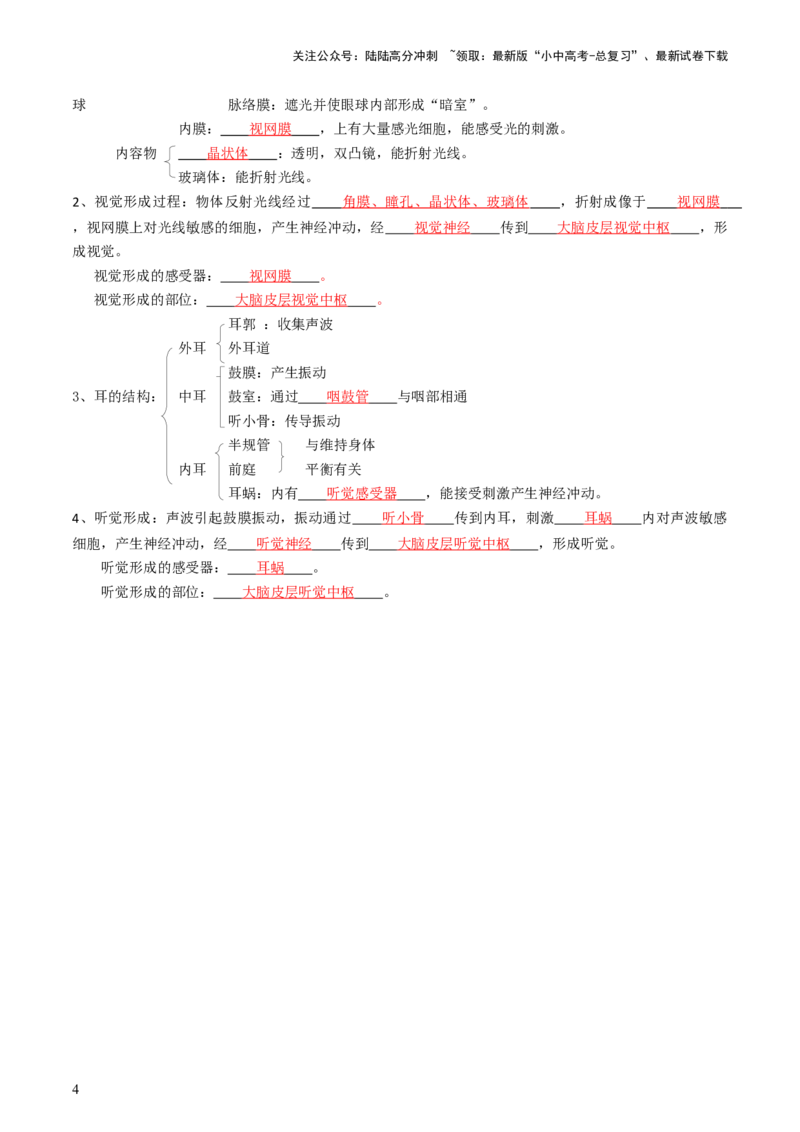 专题14人体生命活动的调节（讲义）（解析版）_02中考总复习（2026版更新中）_08-生物-中考总复习_2024年中考复习资料_一轮复习_❤2024年中考生物一轮复习讲练测（全国通用）_讲义