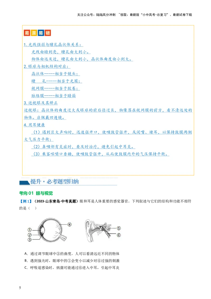 专题14人体生命活动的调节（讲义）（解析版）_02中考总复习（2026版更新中）_08-生物-中考总复习_2024年中考复习资料_一轮复习_❤2024年中考生物一轮复习讲练测（全国通用）_讲义