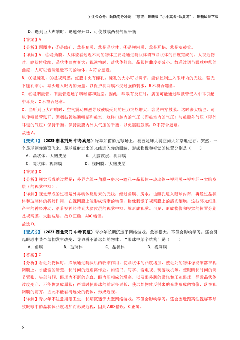 专题14人体生命活动的调节（讲义）（解析版）_02中考总复习（2026版更新中）_08-生物-中考总复习_2024年中考复习资料_一轮复习_❤2024年中考生物一轮复习讲练测（全国通用）_讲义