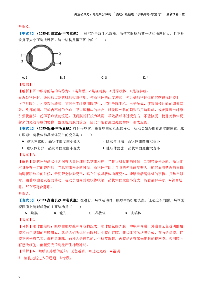 专题14人体生命活动的调节（讲义）（解析版）_02中考总复习（2026版更新中）_08-生物-中考总复习_2024年中考复习资料_一轮复习_❤2024年中考生物一轮复习讲练测（全国通用）_讲义