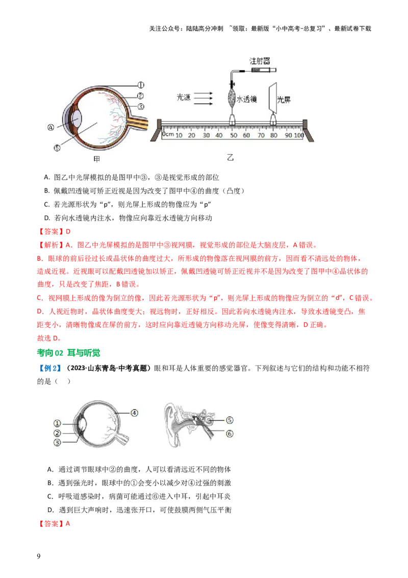 专题14人体生命活动的调节（讲义）（解析版）_02中考总复习（2026版更新中）_08-生物-中考总复习_2024年中考复习资料_一轮复习_❤2024年中考生物一轮复习讲练测（全国通用）_讲义