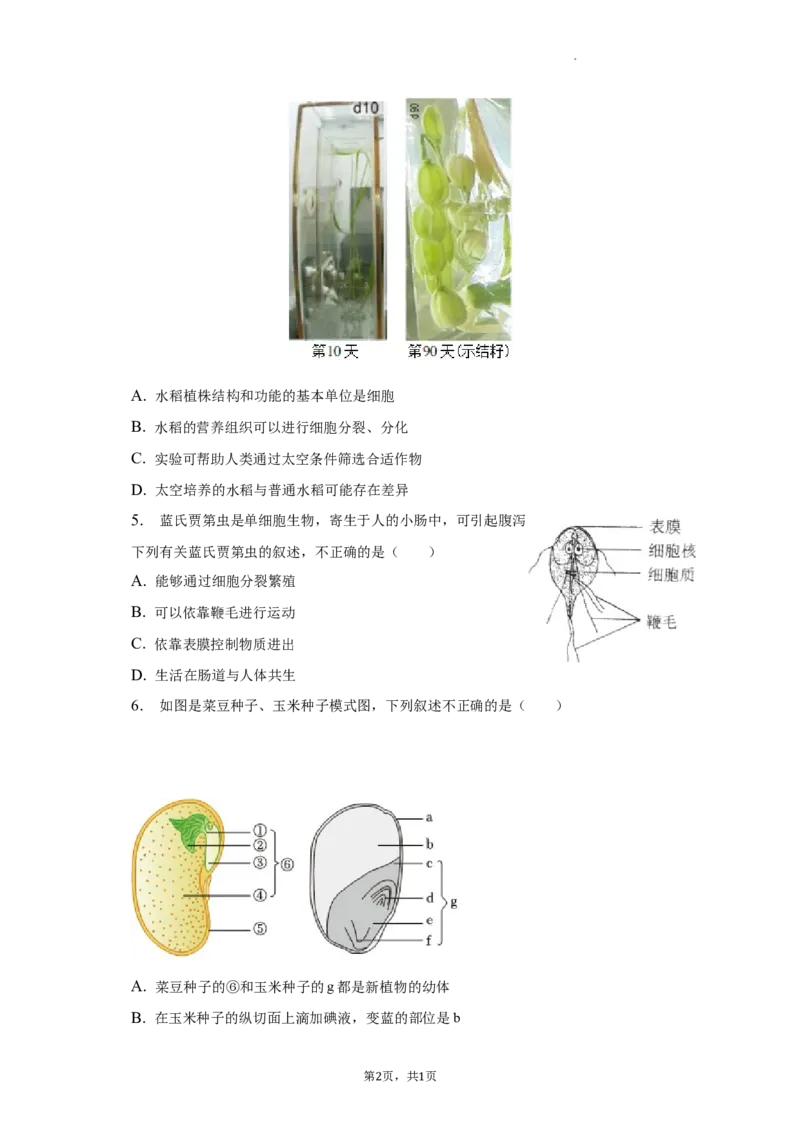 北京市第二中学教育集团2022-2023学年八年级下学期期中生物试卷(1)_北京初中期末题_C605-京七八九_B京生物七八九_北京八下生物