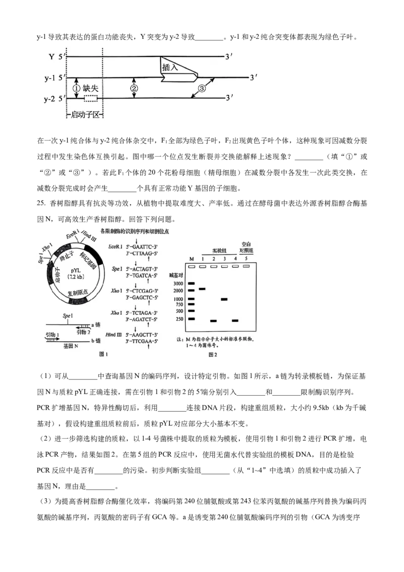 2025年高考生物真题（黑龙江、吉林、辽宁、内蒙古）（原卷版）_全国卷+地方卷_6.生物_1.生物高考真题试卷_2025年高考-生物_2025年高考生物真题（黑龙江吉林辽宁内蒙古）