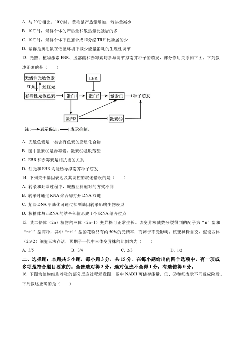 2025年高考生物真题（黑龙江、吉林、辽宁、内蒙古）（原卷版）_全国卷+地方卷_6.生物_1.生物高考真题试卷_2025年高考-生物_2025年高考生物真题（黑龙江吉林辽宁内蒙古）