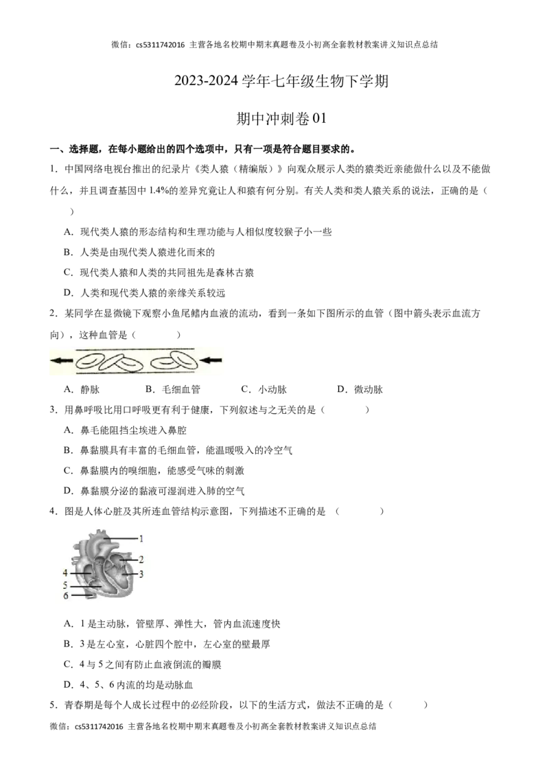 期中冲刺卷01（北京专用）（原卷版）(1)_北京初中期末题_C605-京七八九_B京生物七八九_北京7下生物_2022-2024_北京生物7下期中