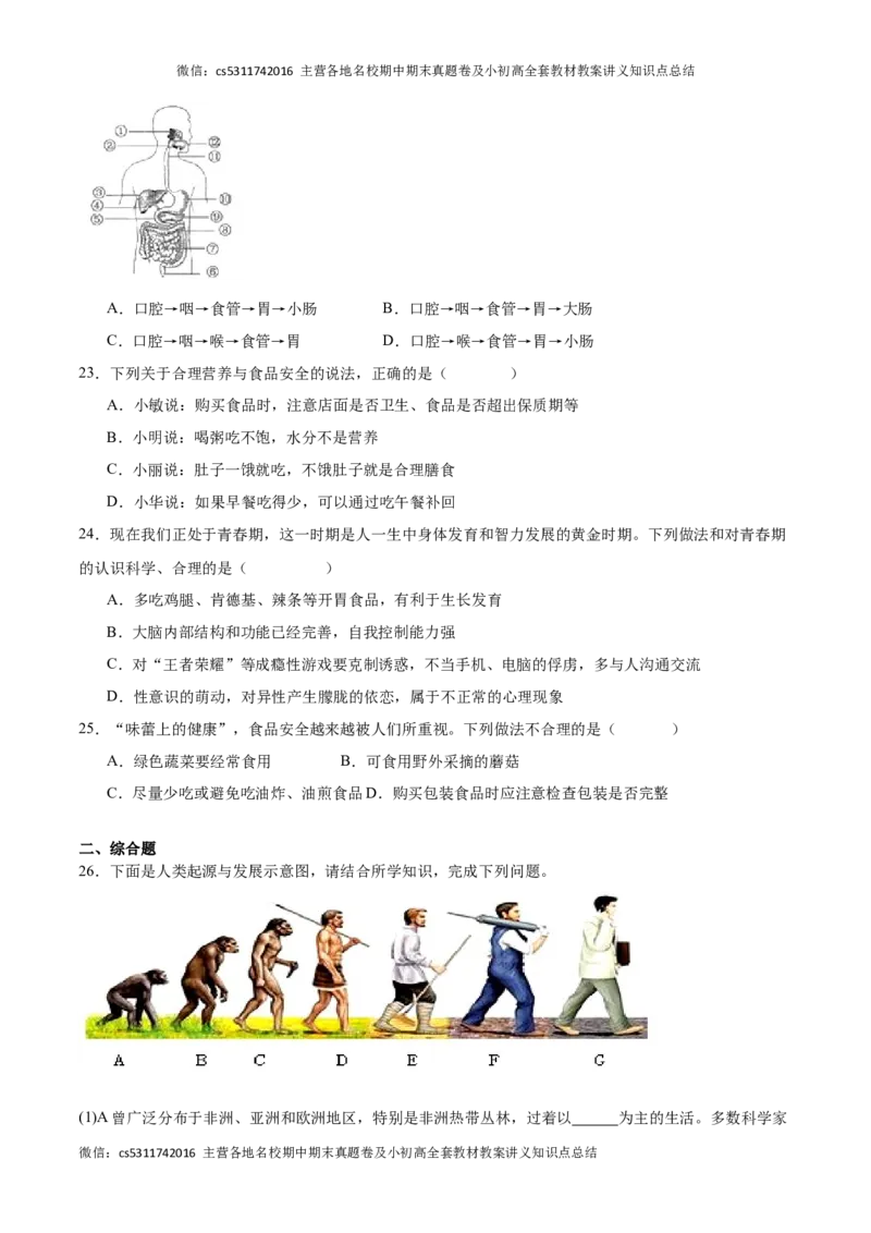 期中冲刺卷01（北京专用）（原卷版）(1)_北京初中期末题_C605-京七八九_B京生物七八九_北京7下生物_2022-2024_北京生物7下期中