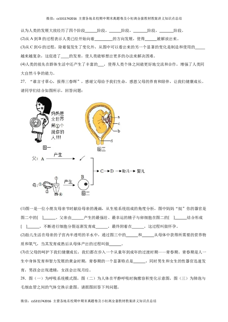 期中冲刺卷01（北京专用）（原卷版）(1)_北京初中期末题_C605-京七八九_B京生物七八九_北京7下生物_2022-2024_北京生物7下期中