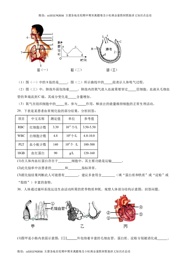 期中冲刺卷01（北京专用）（原卷版）(1)_北京初中期末题_C605-京七八九_B京生物七八九_北京7下生物_2022-2024_北京生物7下期中